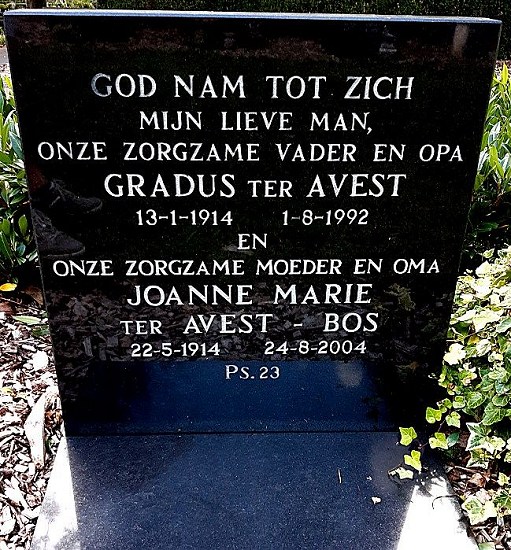 Klik voor foto in apart venster 142_graf_avest-bos.jpg