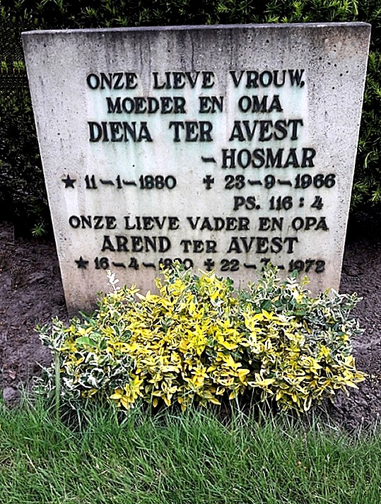 Klik voor foto in apart venster 169_graf_avest-hosmar.jpg