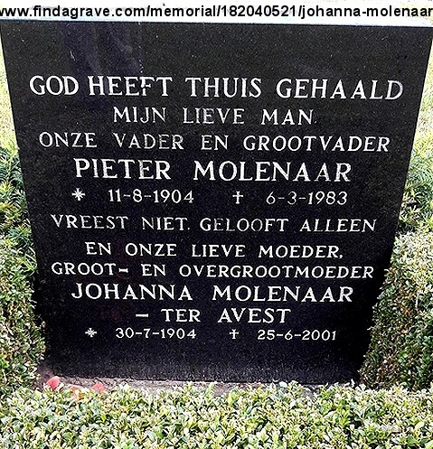 Klik voor foto in apart venster 173_graf_molenaar-ter_avest.jpg