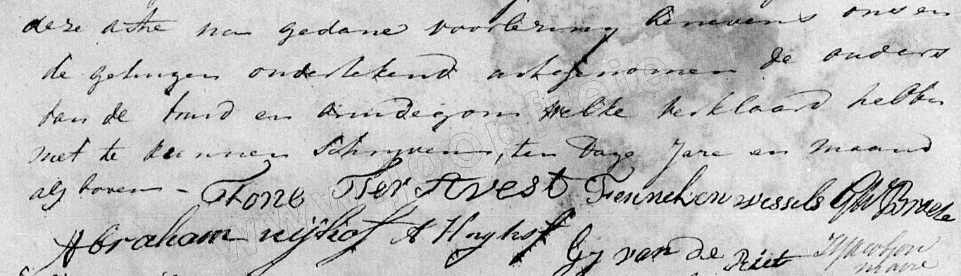 Klik voor foto in apart venster 227_huwelijk_ter_avest-wessels_1812-2.jpg