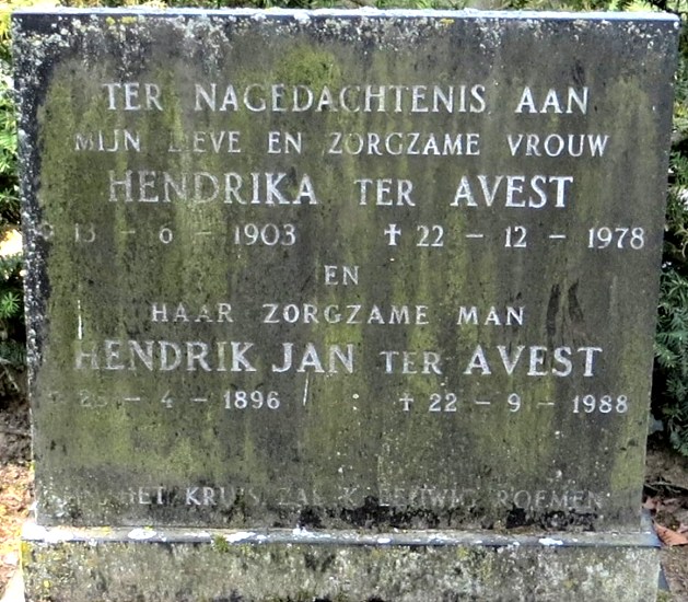 Klik voor foto in apart venster 245_graf_avest-avest.jpg