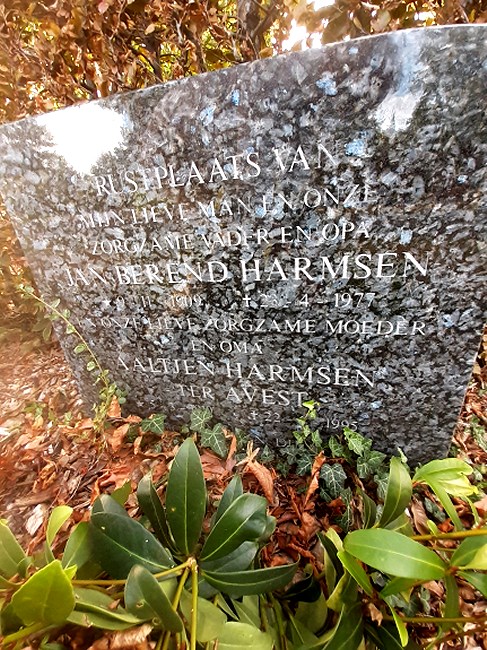 Klik voor foto in apart venster 263_graf_harmsen-avest.jpg