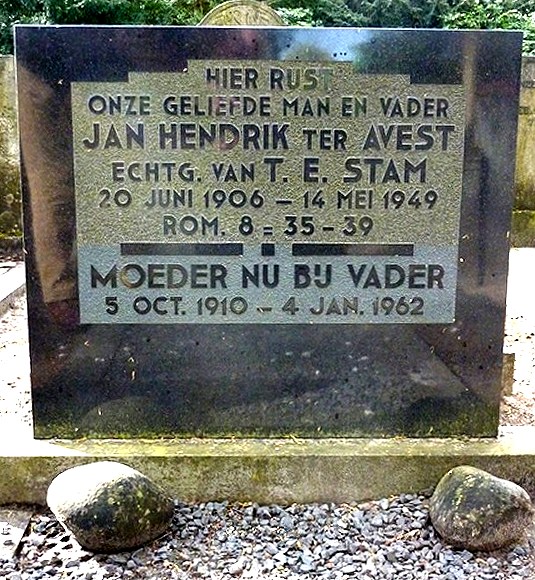 Klik voor foto in apart venster 544_graf_avest-stam.jpg