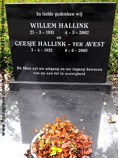 Klik voor foto in apart venster 655_graf_hallink-ter_avest.jpg