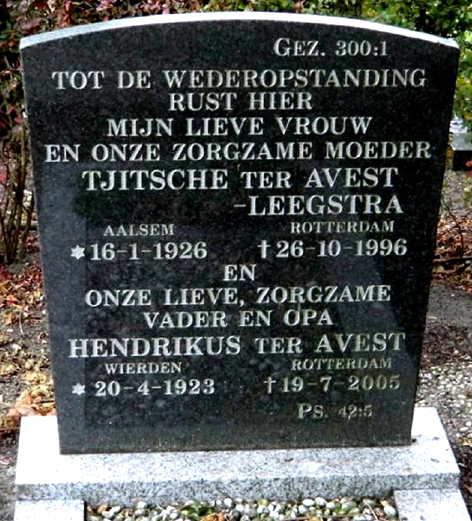 Klik voor foto in apart venster 751_graf_avest-leegstra.jpg