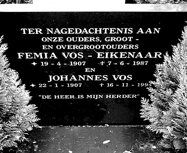 Klik voor foto in apart venster 190_graf_vos-eikenaar.jpg