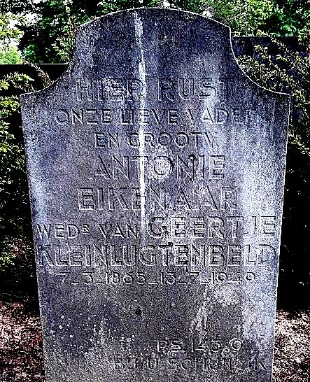 385_graf_eikenaar-kleinlugtenbeld.jpg