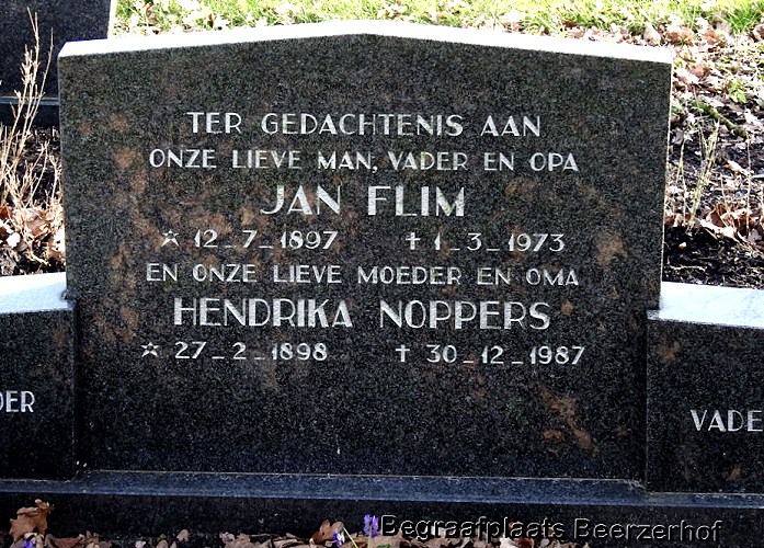 Klik voor foto in apart venster 237_graf_flim-noppers.jpg