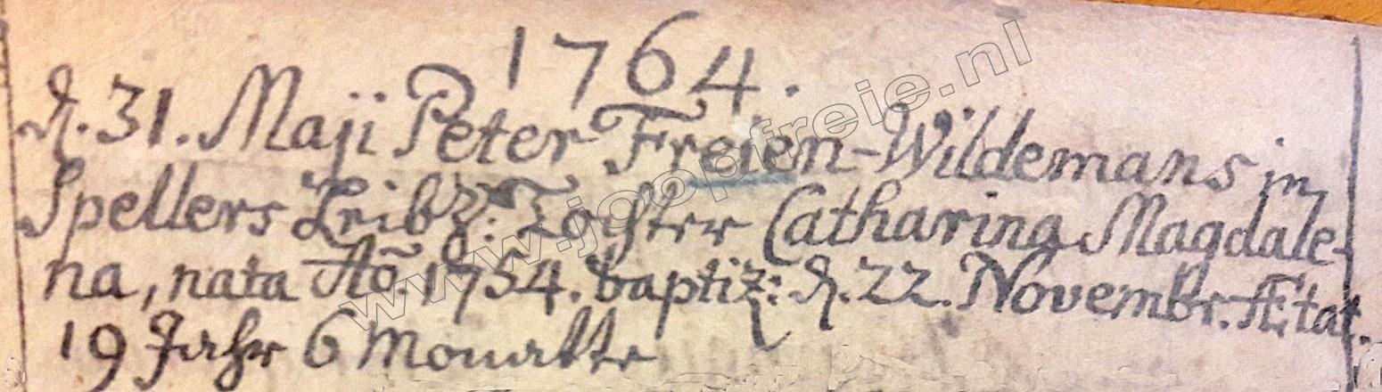Klik voor foto in apart venster 6226_overlijden_catharina_magdalena_freien_1764.jpg