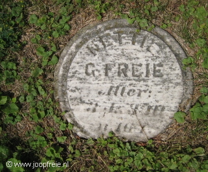 Klik voor foto in apart venster 6550_nettie_gfreie.jpg