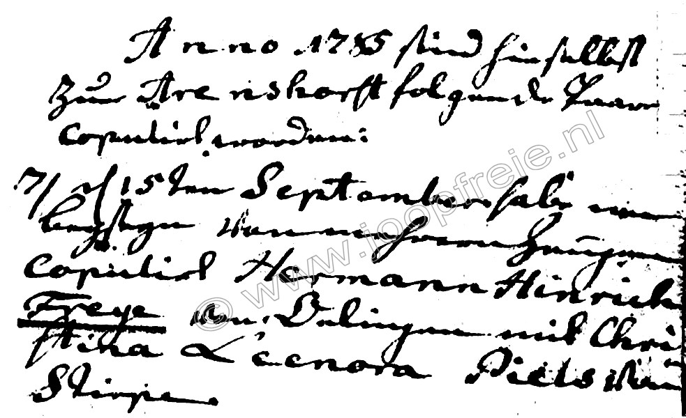 Klik voor foto in apart venster 135_freyepiel_x1785.jpg