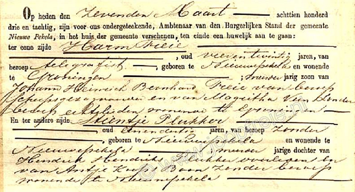 Klik voor foto in apart venster 185_freieplukker.jpg