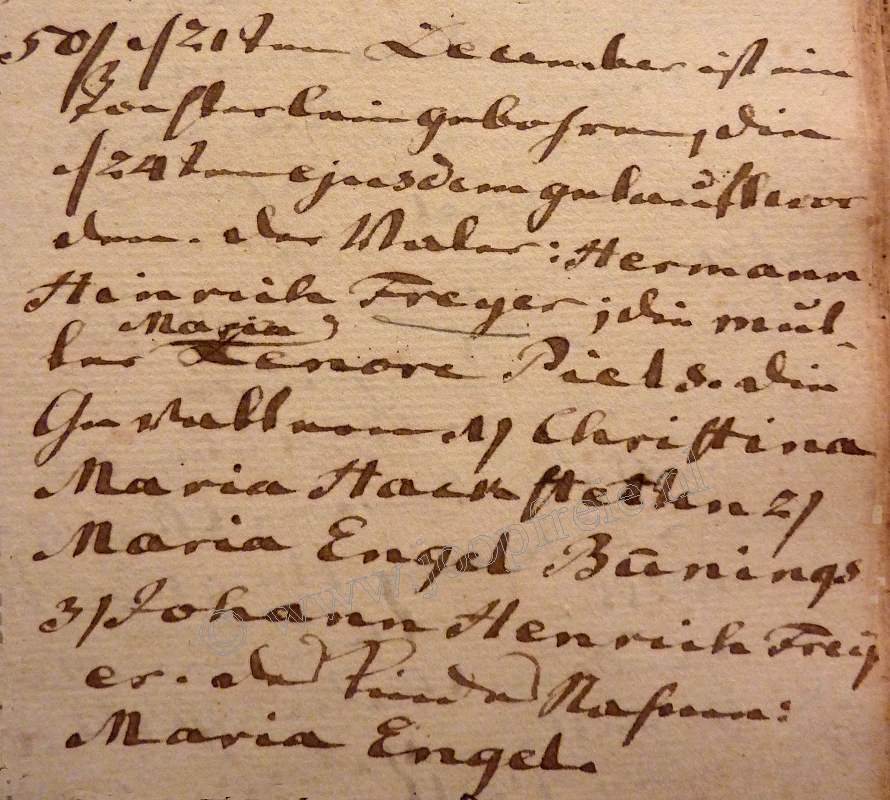 Klik voor foto in apart venster 220_mariaengelfreyer_1793.jpg