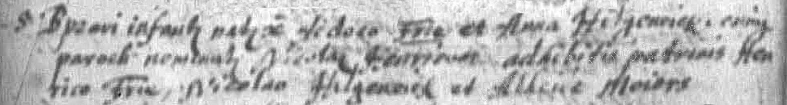 3004_doop_nicolaus_henrich_frie_1688.jpg