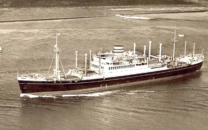 Klik voor foto in apart venster 400_westerdam.jpg