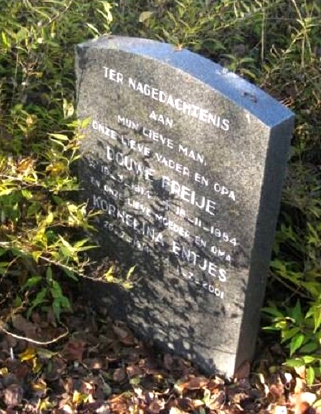 Klik voor foto in apart venster 4121_graf_freije-entjes.jpg