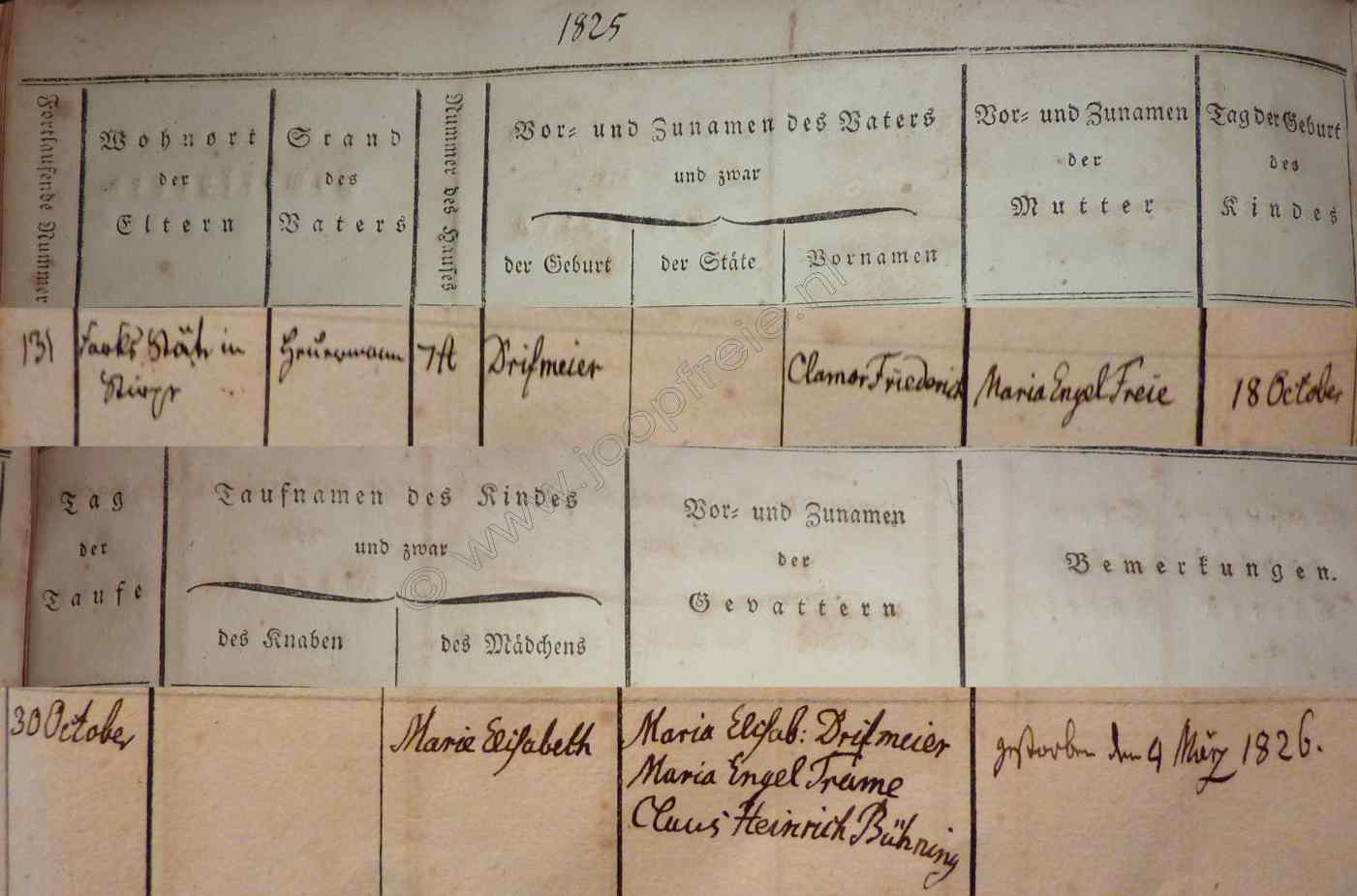 Klik voor foto in apart venster 4402_medrifmeier_1825.jpg