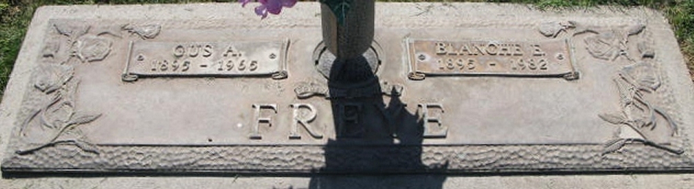 Klik voor foto in apart venster 455_graf_gustavefreye.jpg