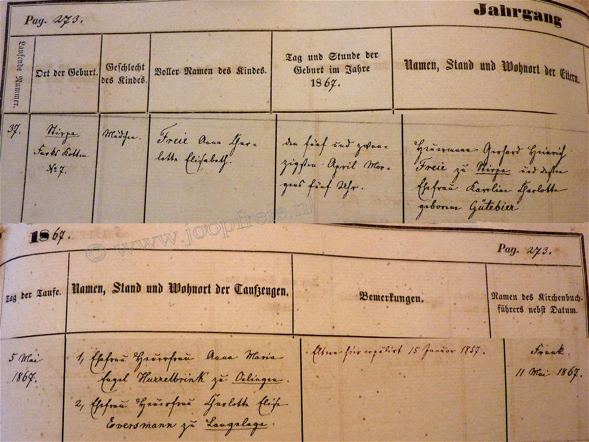 Klik voor foto in apart venster 5037_acefreie_1867.jpg