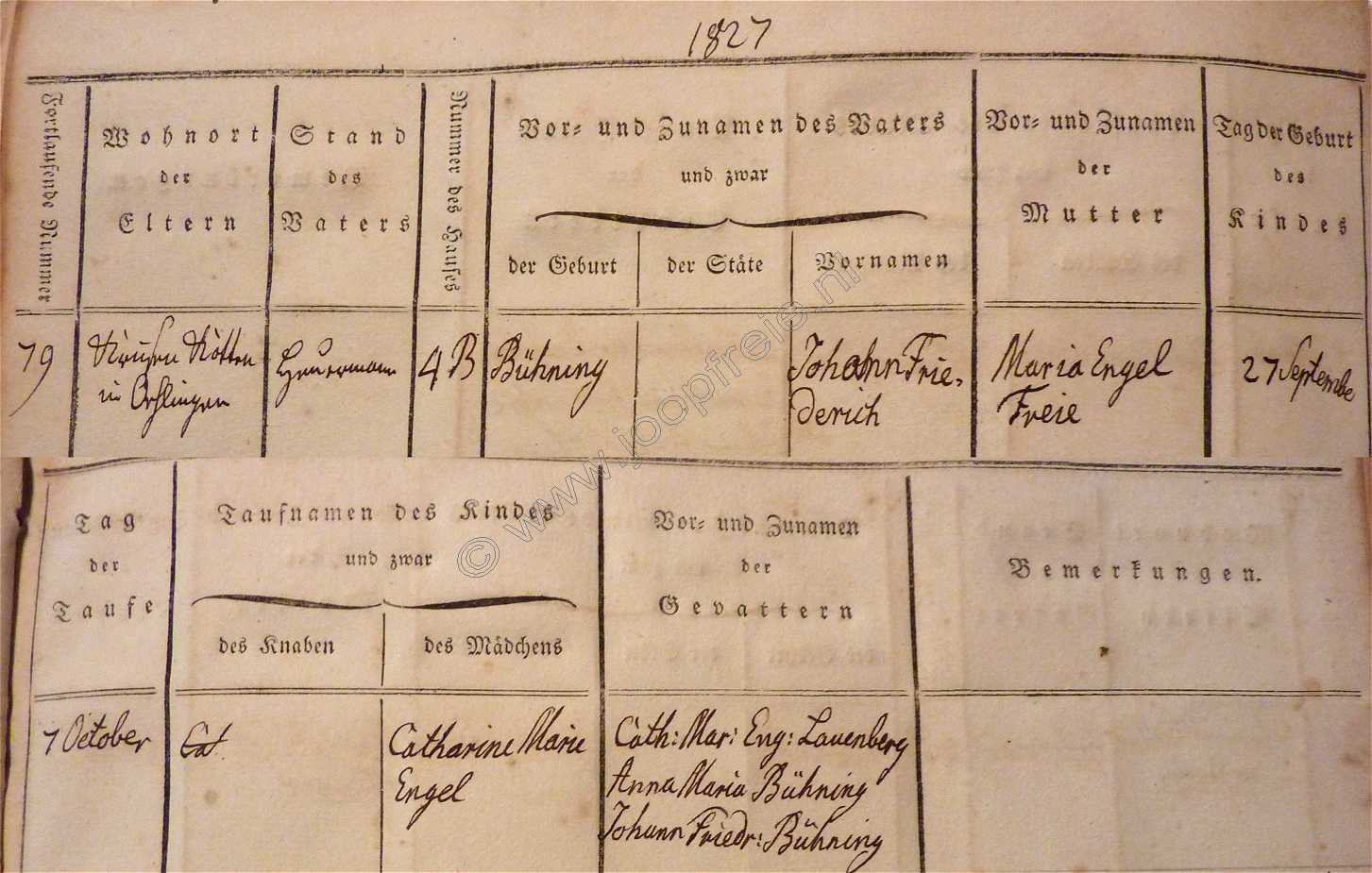 Klik voor foto in apart venster 5062_cmebühning_1827.jpg