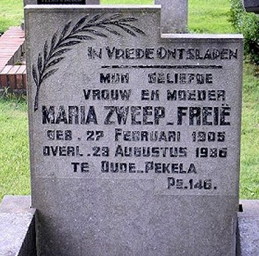 Klik voor foto in apart venster 85_graf_zweep-freie.jpg