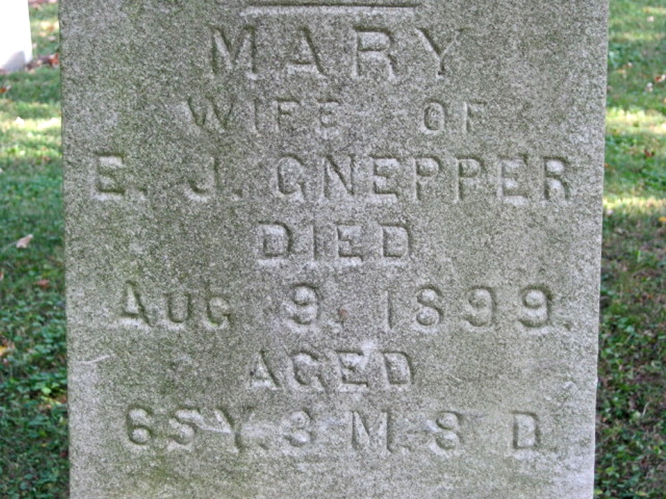 Klik voor foto in apart venster 861_graf_gnepper-friar_detail.jpg
