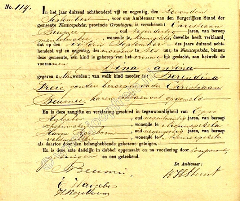 Klik voor foto in apart venster 93_dinajantinabeumee_1895.jpg