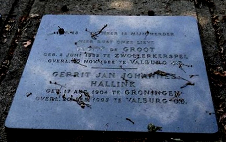Klik voor foto in apart venster 112_graf_hallink-de_groot.jpg