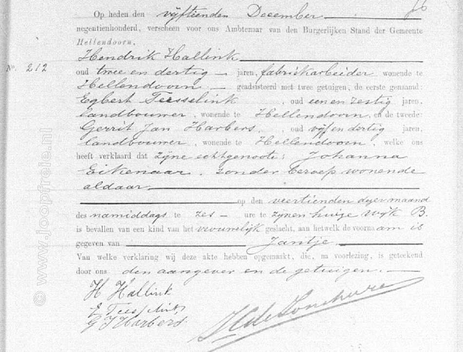 11_jantjehallink_1900.jpg