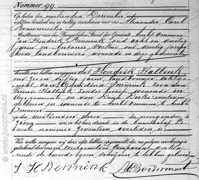Klik voor foto in apart venster 138_hendrikhallink_1881_.jpg