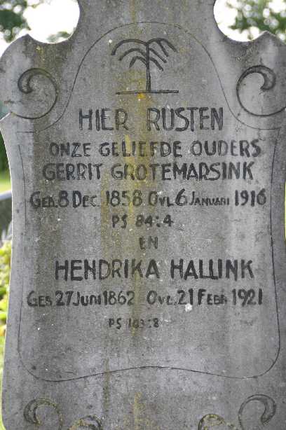 Klik voor foto in apart venster 145_graf_grotemarsink_hallink.jpg
