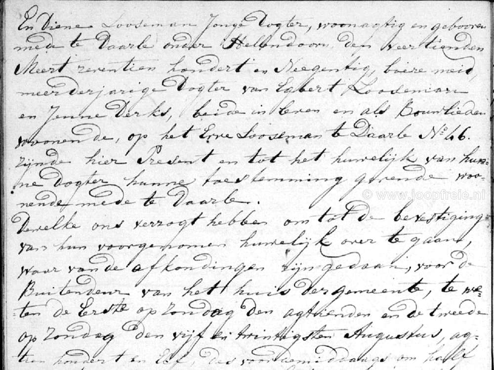 Klik voor foto in apart venster 221_looseman-schoten_x1811_fragment2.jpg