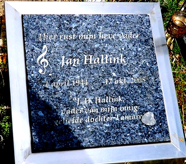 Klik voor foto in apart venster 26_graf_jan_hendrik_hallink.jpg