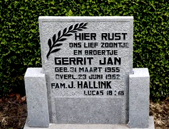Klik voor foto in apart venster 296_graf_g.j.hallink.jpg