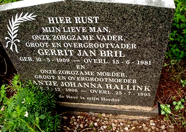 Klik voor foto in apart venster 361_graf_bril-hallink.jpg