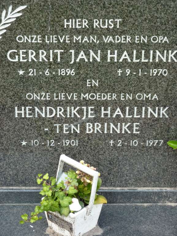 Klik voor foto in apart venster 371_graf_hallink-tenbrinke.jpg