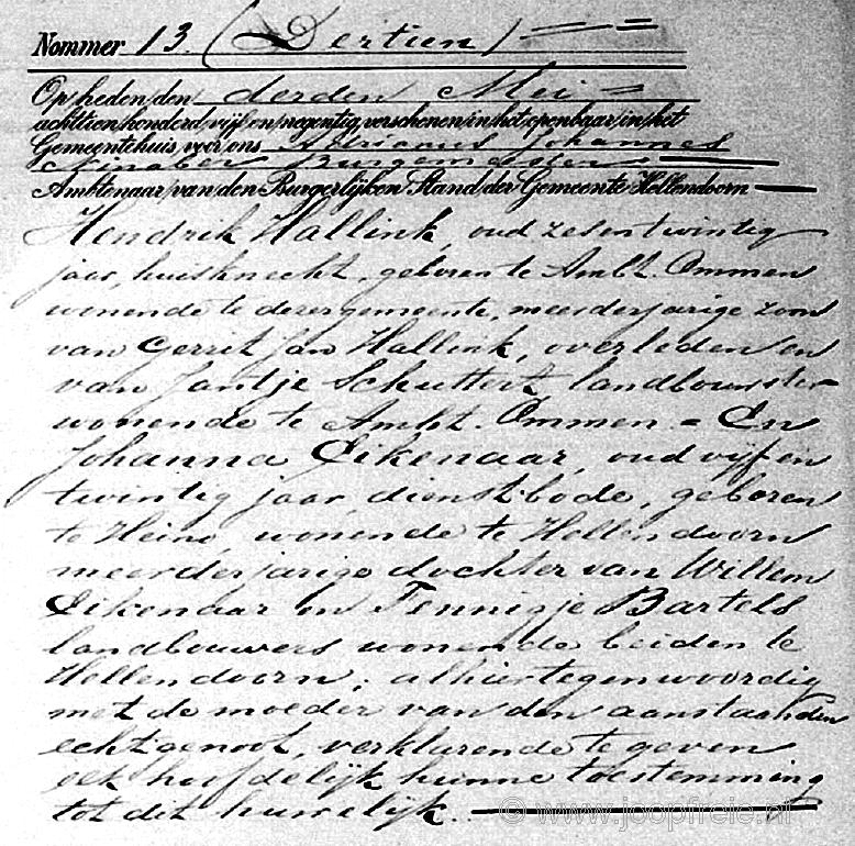 Klik voor foto in apart venster 3_hallink-eikenaar_1895-1.jpg