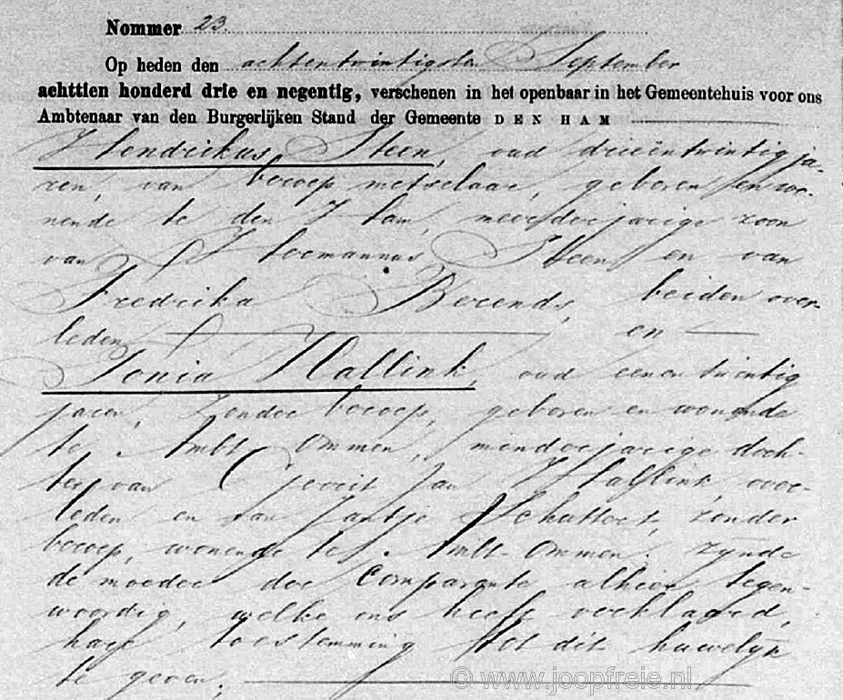 Klik voor foto in apart venster 70_steen-hallink_1893.jpg