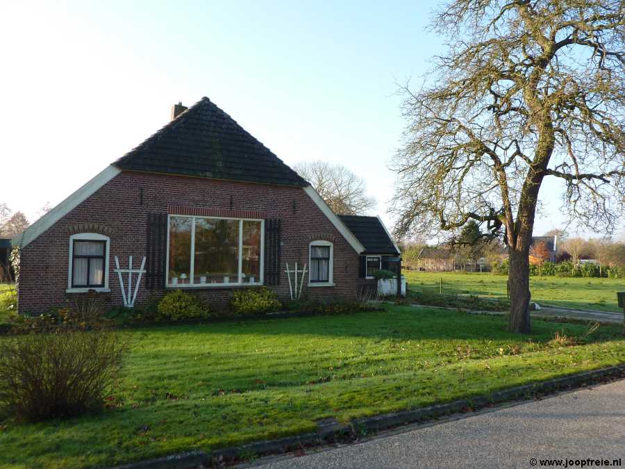 Klik voor foto in apart venster koeveen1.jpg