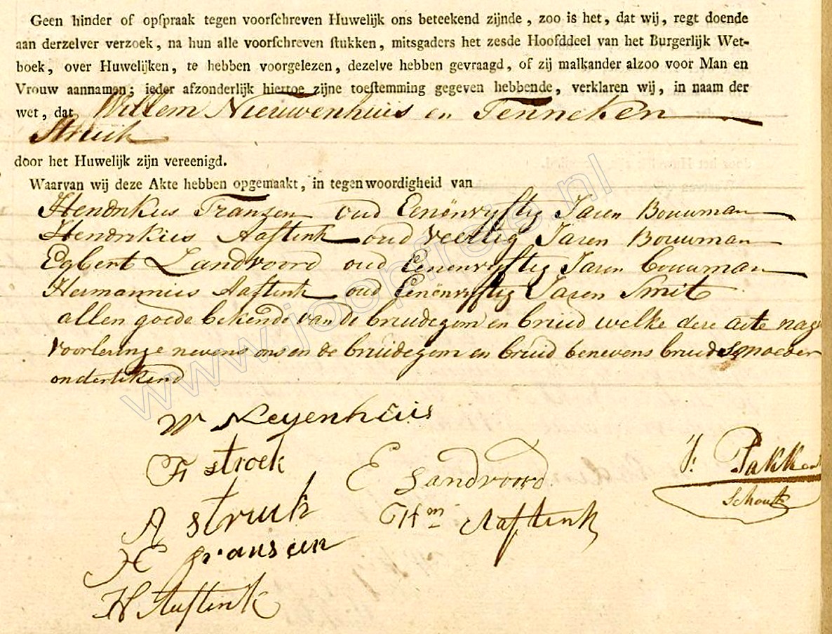 Klik voor foto in apart venster 1045_nieuwenhuis-struik_1821-2.jpg