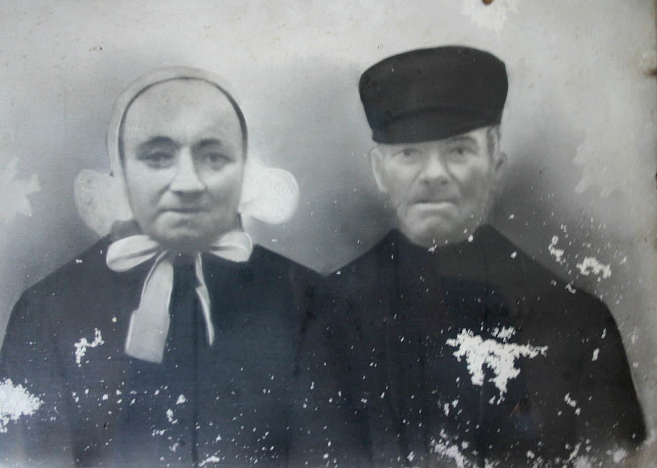 Klik voor foto in apart venster 1067_struiik-koerselman.jpg