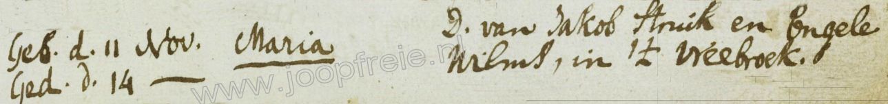 Klik voor foto in apart venster 1133_maria_struik_1802.jpg