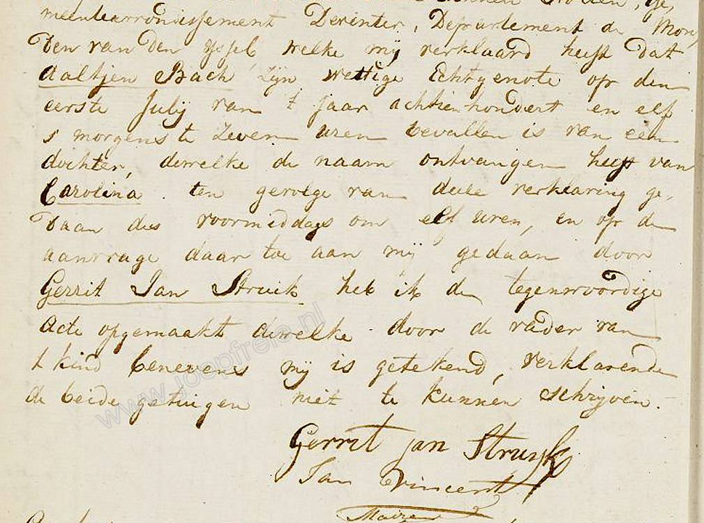 Klik voor foto in apart venster 1634_carolinastruik_1811.jpg
