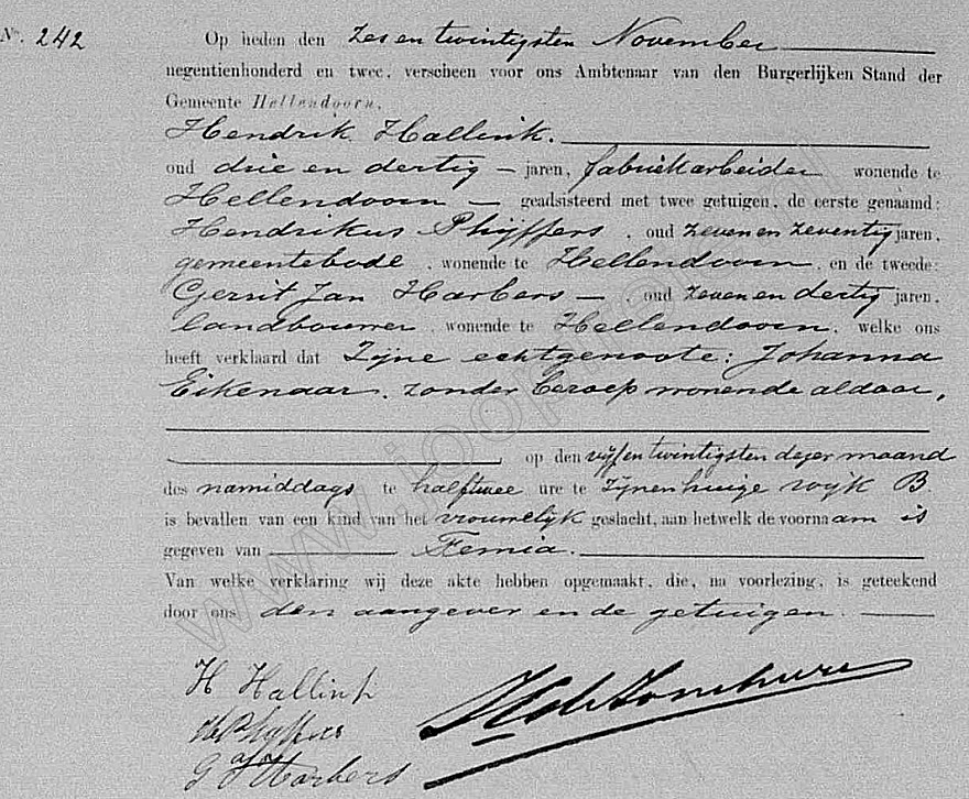 Klik voor foto in apart venster 124_geboorte_femia_hallink_1902.jpg