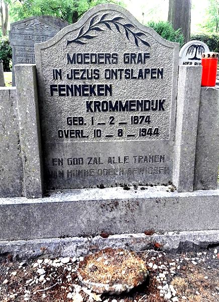 Klik voor foto in apart venster 141_graf_fenneken_krommendijk.jpg