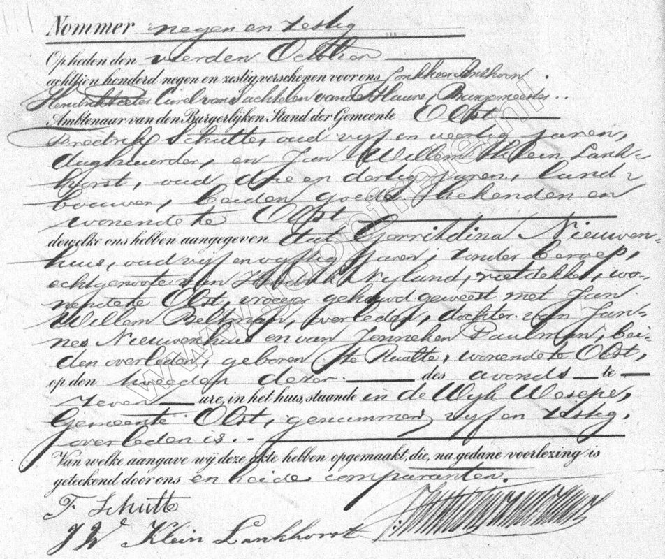Klik voor foto in apart venster 58_gerridinapaalman__1869.jpg