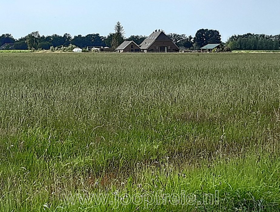 Klik voor foto in apart venster erve_paalmans.jpg
