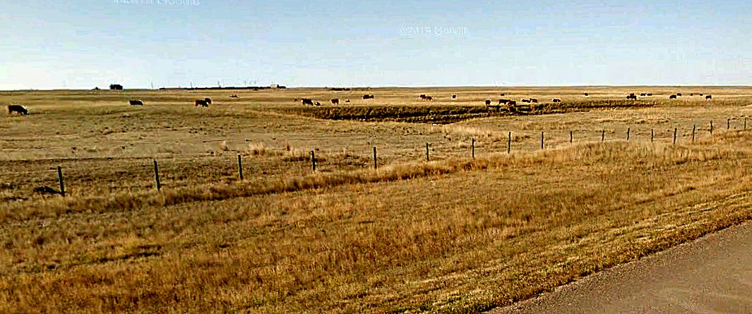 Klik voor foto in apart venster 20_prairie_bij_alderson_canada.jpg