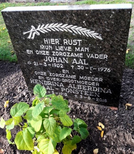 Klik voor foto in apart venster 179_graf_aal-ponsteen.jpg