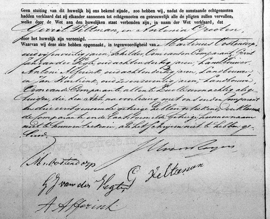 Klik voor foto in apart venster 36_veltman-grooten_1860-2.jpg